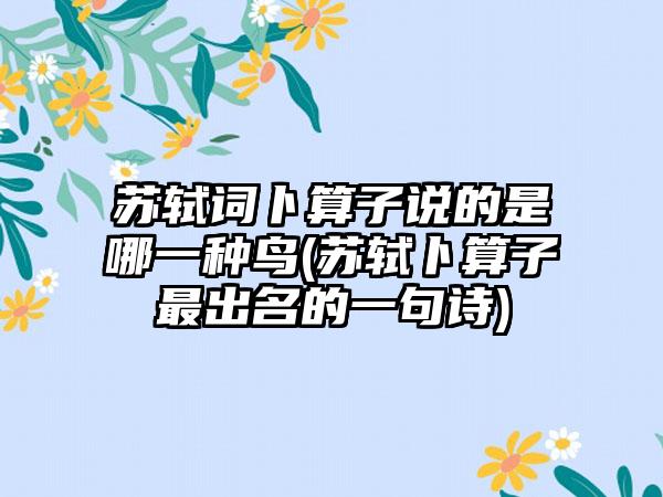 苏轼词卜算子说的是哪一种鸟(苏轼卜算子最出名的一句诗)
