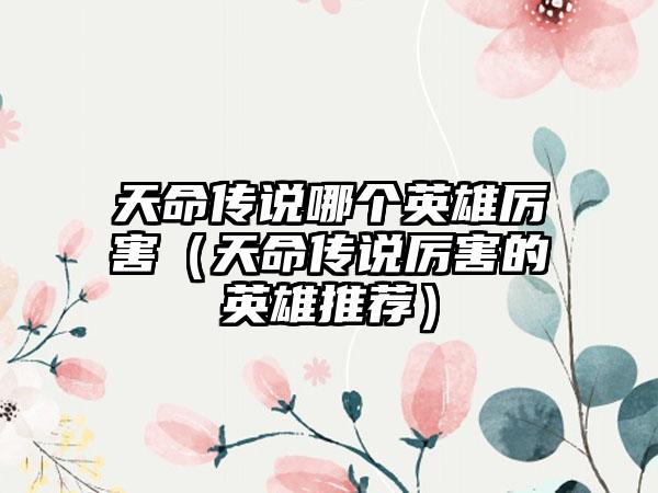 天命传说哪个英雄厉害（天命传说厉害的英雄推荐）