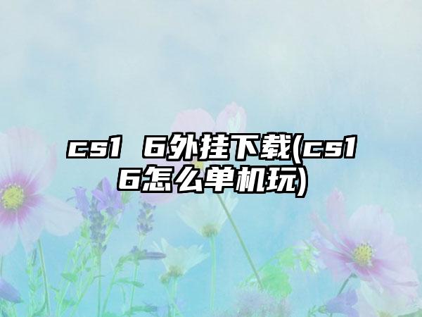cs1 6外挂(cs16怎么单机玩)