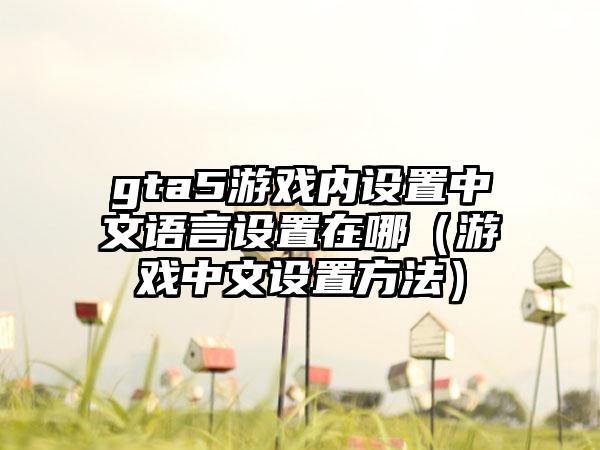 gta5游戏内设置中文语言设置在哪（游戏中文设置方法）
