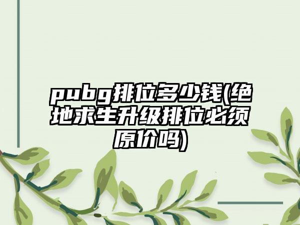 pubg排位多少钱(绝地求生升级排位必须原价吗)