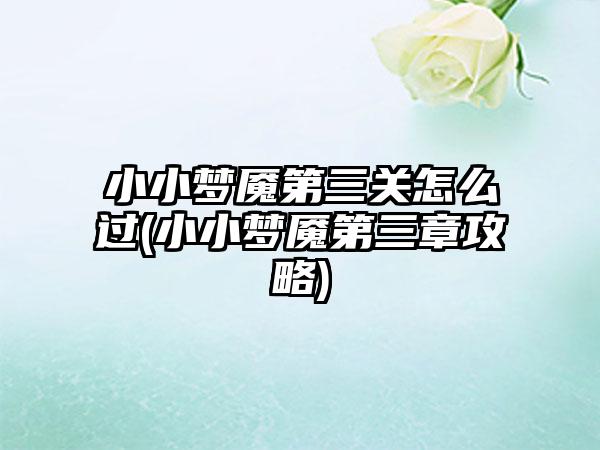 小小梦魇第三关怎么过(小小梦魇第三章攻略)