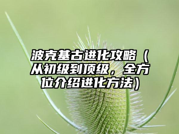 波克基古进化攻略（从初级到顶级，全方位介绍进化方法）