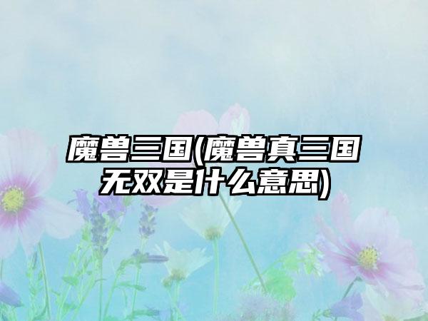 魔兽三国(魔兽真三国无双是什么意思)