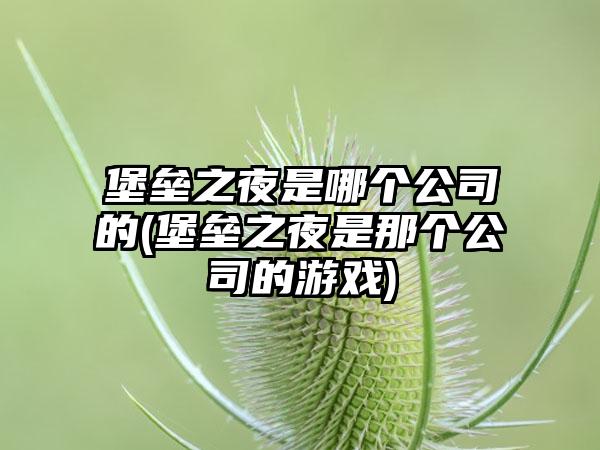 堡垒之夜是哪个公司的(堡垒之夜是那个公司的游戏)