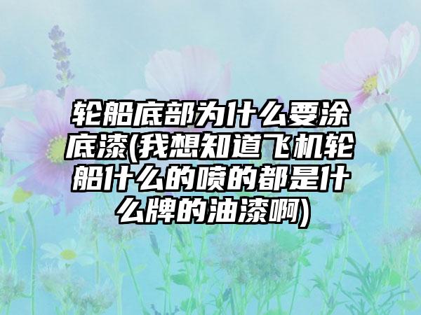轮船底部为什么要涂底漆(我想知道飞机轮船什么的喷的都是什么牌的油漆啊)