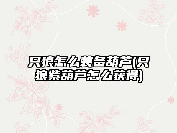 只狼怎么装备葫芦(只狼紫葫芦怎么获得)