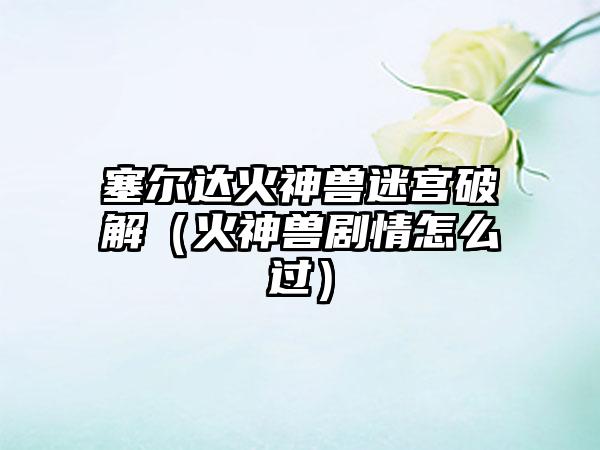 塞尔达火神兽迷宫破解（火神兽剧情怎么过）