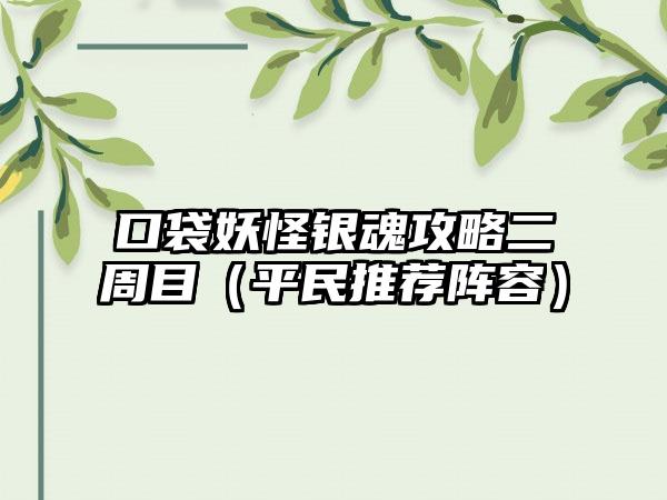 口袋妖怪银魂攻略二周目（平民推荐阵容）