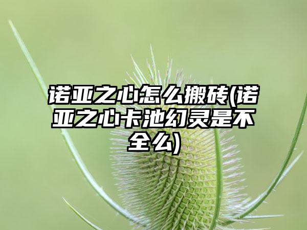 诺亚之心怎么搬砖(诺亚之心卡池幻灵是不全么)
