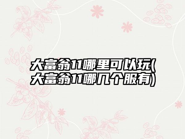 大富翁11哪里可以玩(大富翁11哪几个服有)