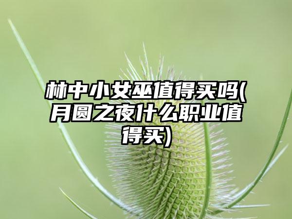 林中小女巫值得买吗(月圆之夜什么职业值得买)