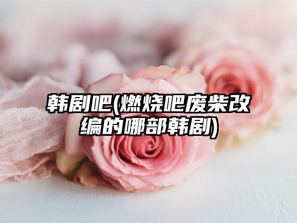 韩剧吧(燃烧吧废柴改编的哪部韩剧)