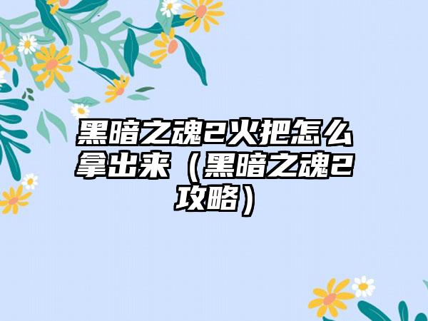 黑暗之魂2火把怎么拿出来（黑暗之魂2攻略）