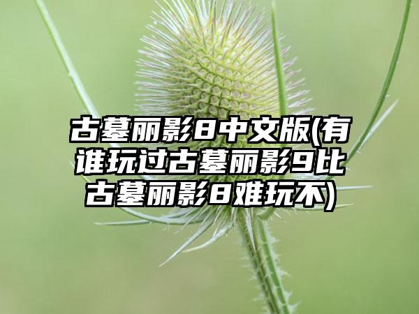 古墓丽影8中文版(有谁玩过古墓丽影9比古墓丽影8难玩不)