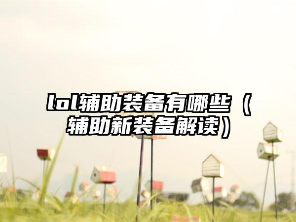 lol辅助装备有哪些（辅助新装备解读）