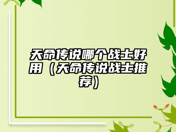 天命传说哪个战士好用（天命传说战士推荐）