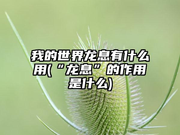 我的世界龙息有什么用(“龙息”的作用是什么)