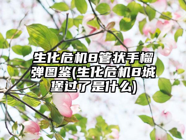 生化危机8管状手榴弹图鉴(生化危机8城堡过了是什么)