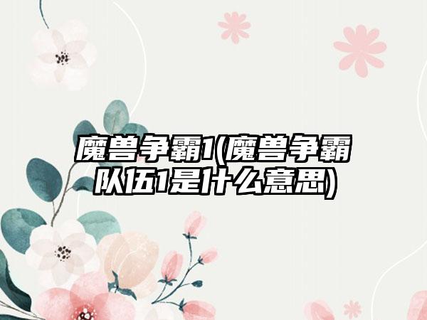魔兽争霸1(魔兽争霸队伍1是什么意思)