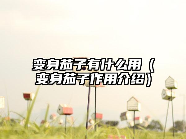 变身茄子有什么用（变身茄子作用介绍）