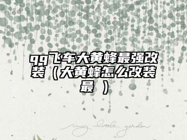 qq飞车大黄蜂最强改装（大黄蜂怎么改装最屌）