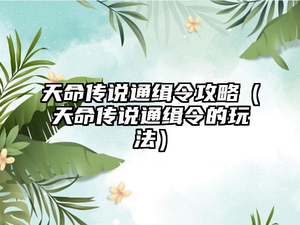 天命传说通缉令攻略（天命传说通缉令的玩法）