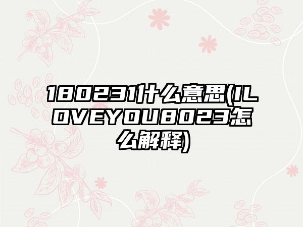 180231什么意思(ILOVEYOU8023怎么解释)