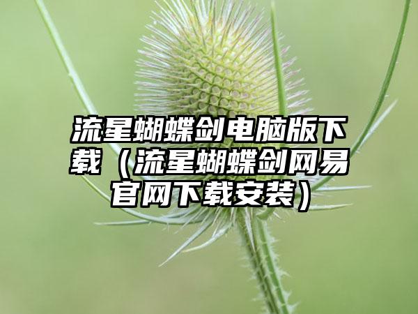 流星蝴蝶剑电脑版（流星蝴蝶剑网易安装）