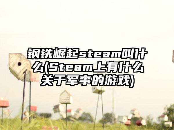 钢铁崛起steam叫什么(Steam上有什么关于军事的游戏)