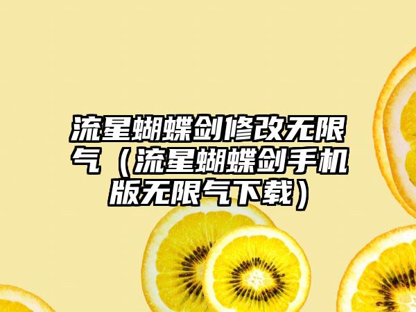 流星蝴蝶剑修改无限气（流星蝴蝶剑手机版无限气）