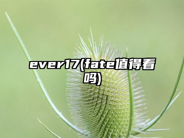 ever17(fate值得看吗)