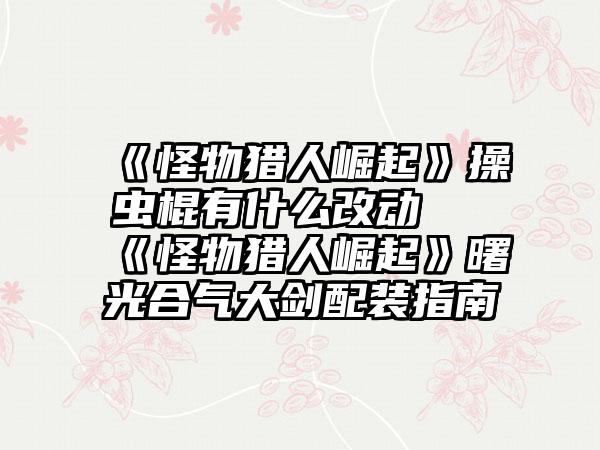 《怪物猎人崛起》操虫棍有什么改动 《怪物猎人崛起》曙光合气大剑配装指南