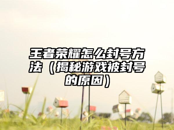 王者荣耀怎么封号方法（揭秘游戏被封号的原因）