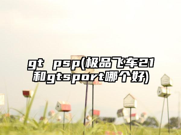 gt psp(极品飞车21和gtsport哪个好)