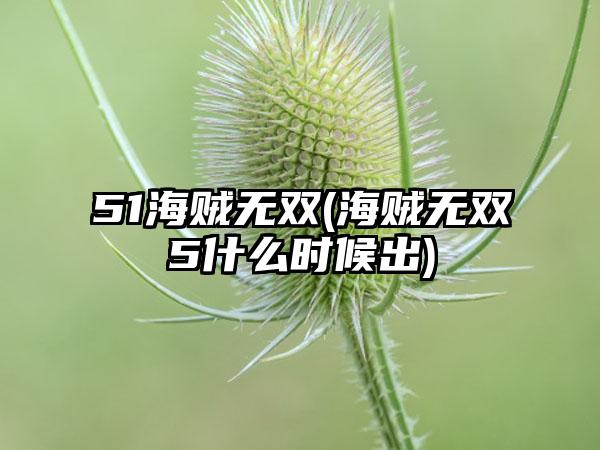 51海贼无双(海贼无双5什么时候出)