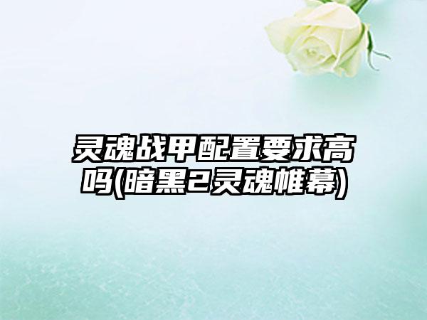 灵魂战甲配置要求高吗(暗黑2灵魂帷幕)