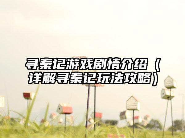 寻秦记游戏剧情介绍（详解寻秦记玩法攻略）