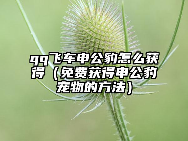 qq飞车申公豹怎么获得（免费获得申公豹宠物的方法）