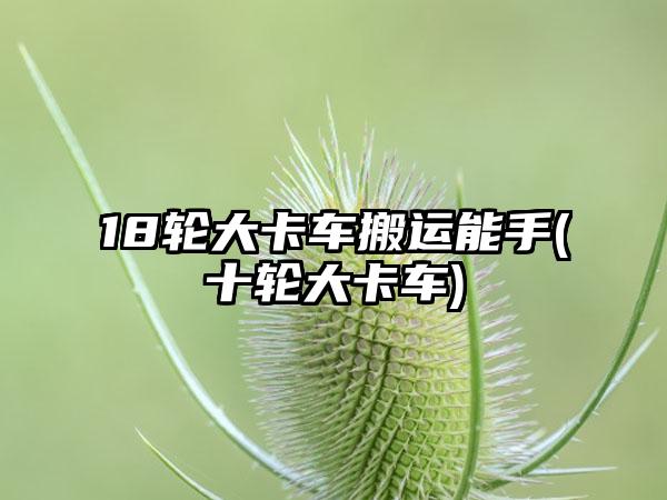 18轮大卡车搬运能手(十轮大卡车)