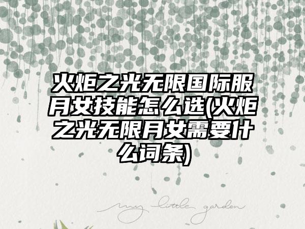 火炬之光无限国际服月女技能怎么选(火炬之光无限月女需要什么词条)