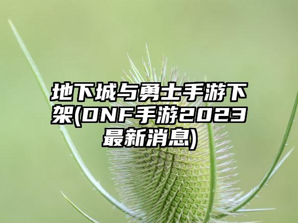 地下城与勇士手游下架(DNF手游2023最新消息)