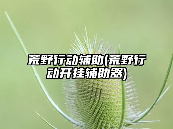 荒野行动辅助(荒野行动开挂辅助器)