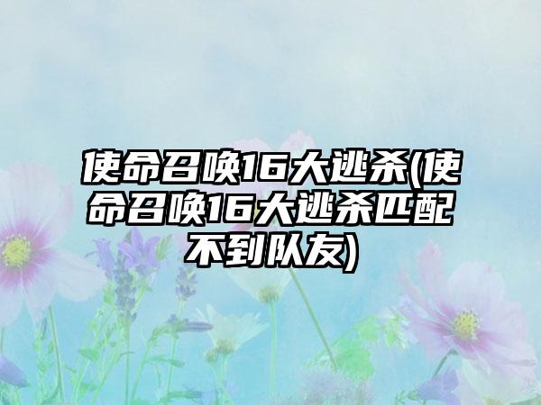 使命召唤16大逃杀(使命召唤16大逃杀匹配不到队友)