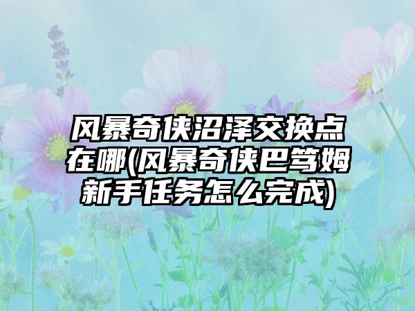 风暴奇侠沼泽交换点在哪(风暴奇侠巴笃姆新手任务怎么完成)