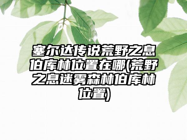 塞尔达传说荒野之息伯库林位置在哪(荒野之息迷雾森林伯库林位置)
