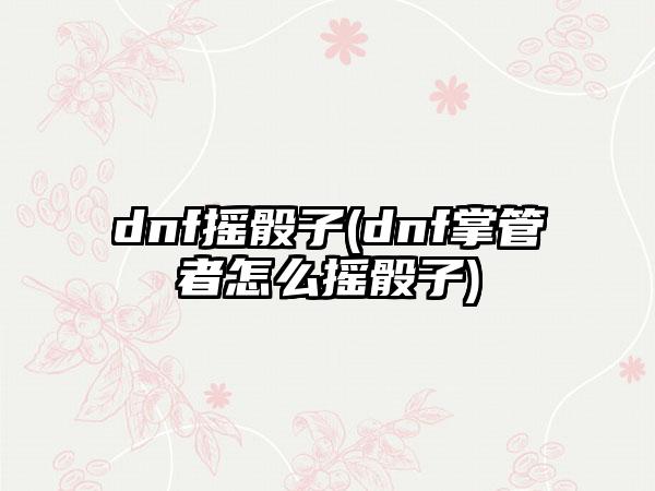 dnf摇骰子(dnf掌管者怎么摇骰子)