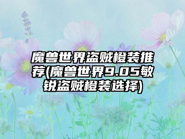 魔兽世界盗贼橙装推荐(魔兽世界9.05敏锐盗贼橙装选择)