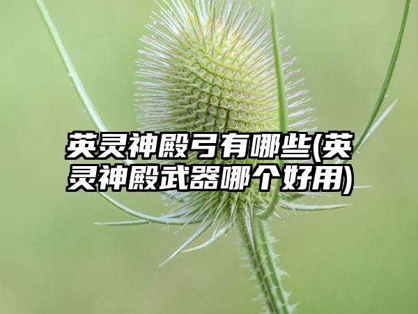 英灵神殿弓有哪些(英灵神殿武器哪个好用)