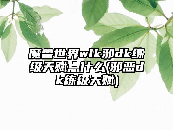 魔兽世界wlk邪dk练级天赋点什么(邪恶dk练级天赋)